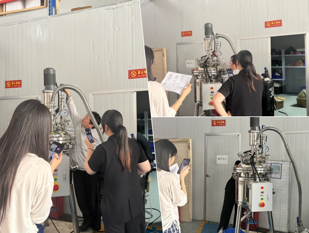 Remote Video Inspection of 100L Stainless Steel High-Pressure Reactor for German Chemical R&D Client